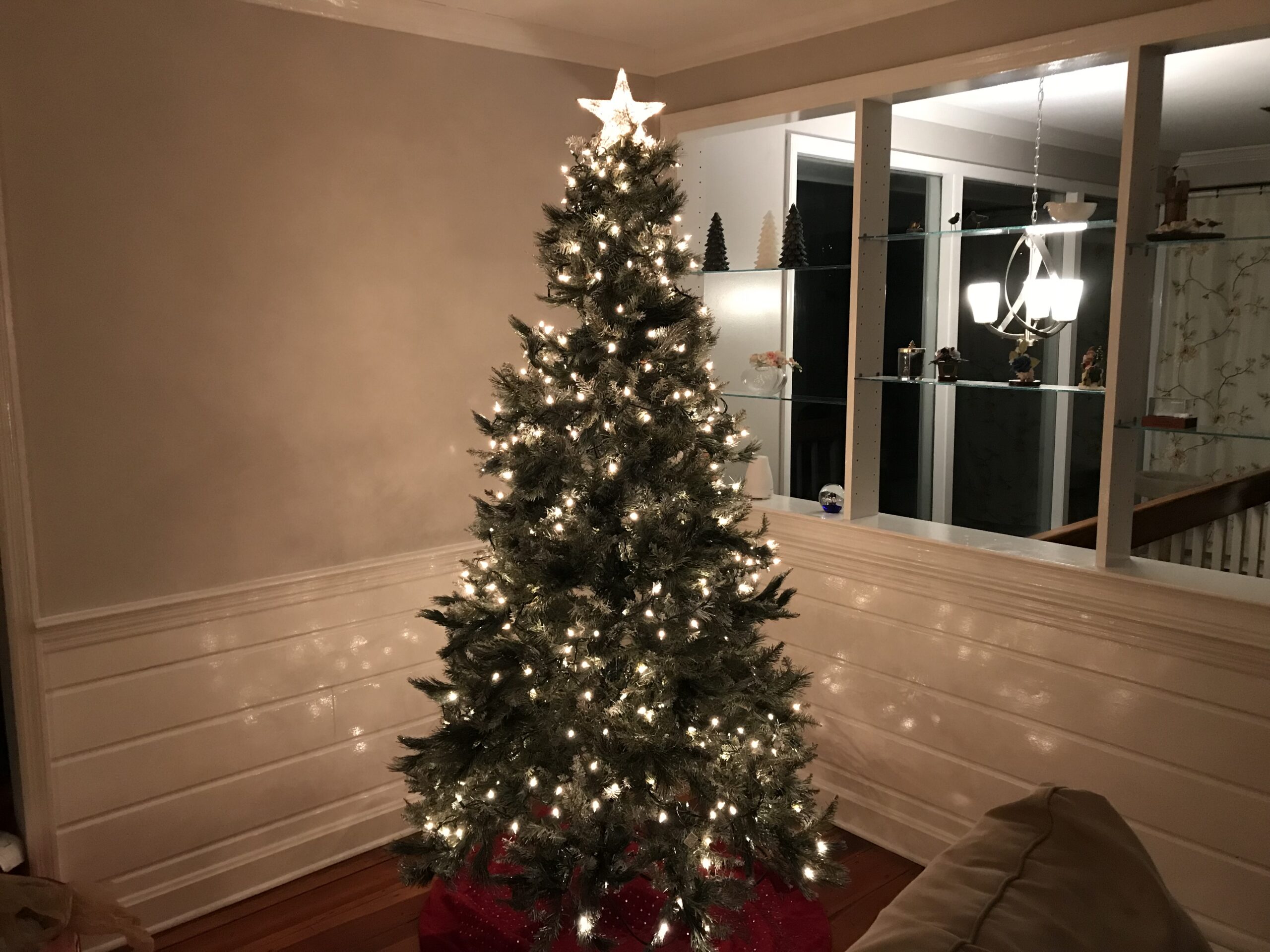 Just Moved In & Tree Set Up on Christmas Eve