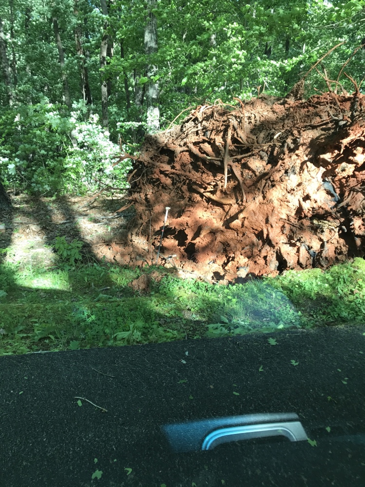 Spring Storms Creates A Full Day Of Yard work