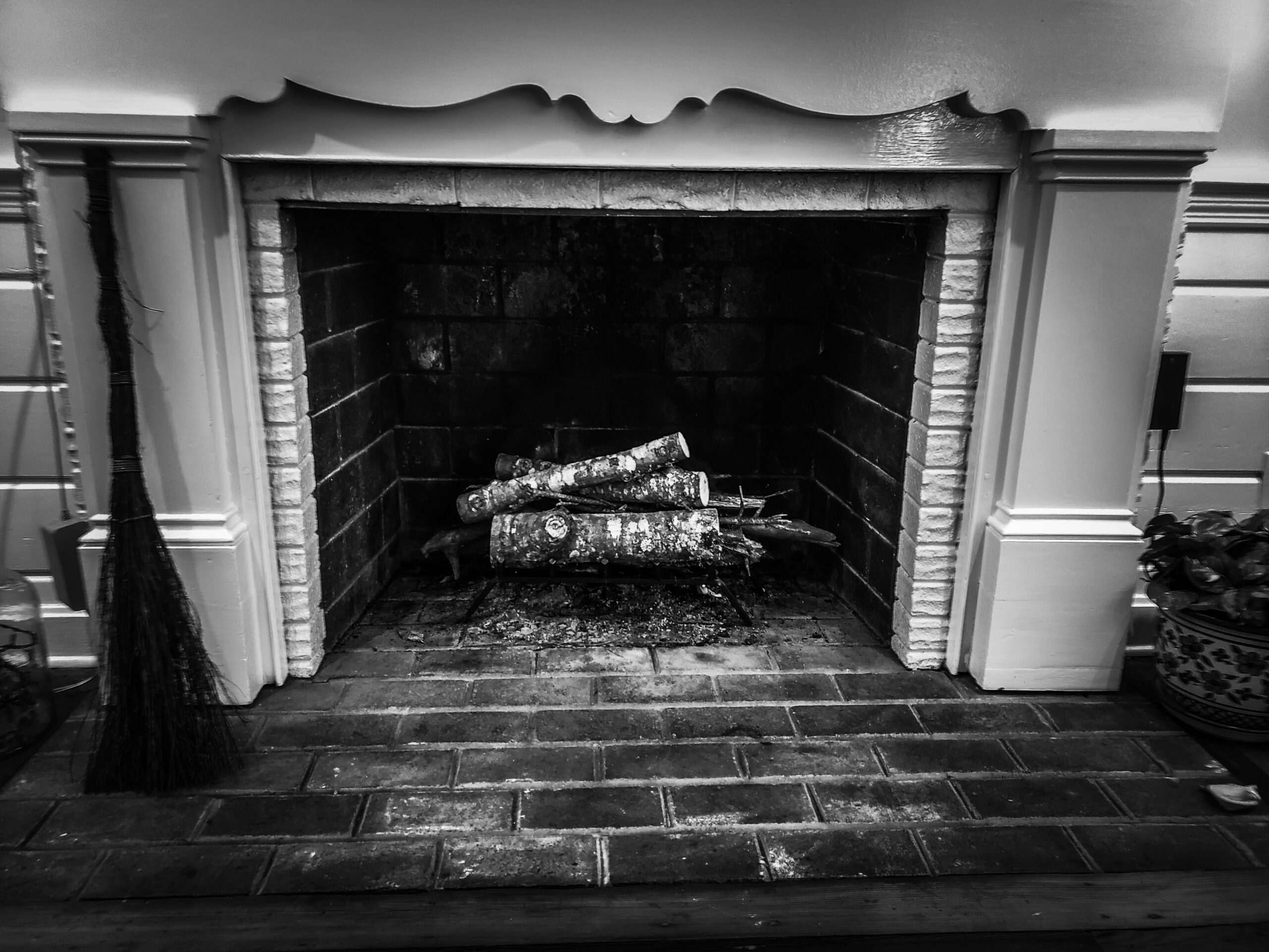 The Best Fireplace Door and Screen