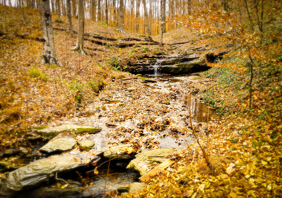 Waterfall in the fall