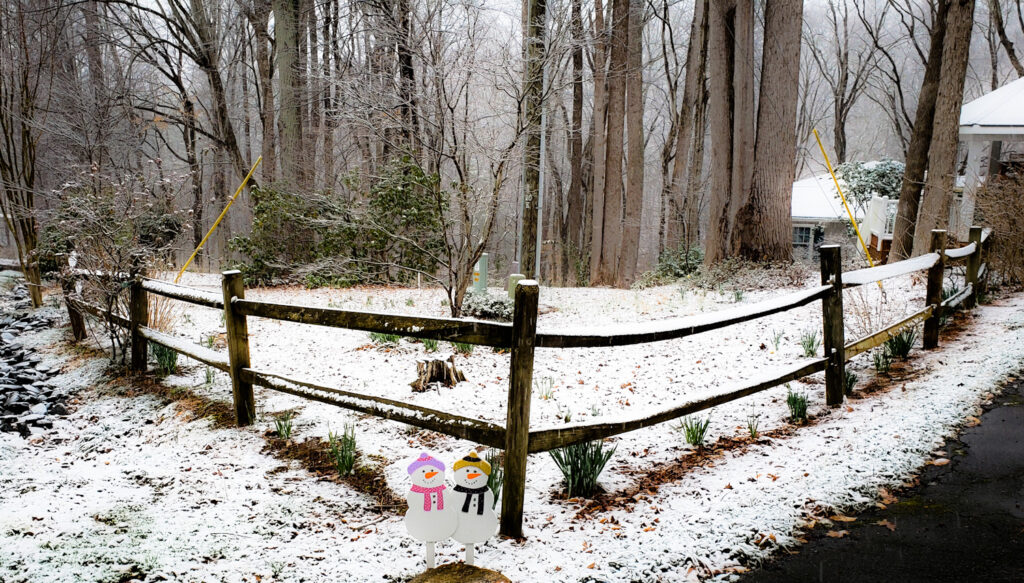 2 snowman at Lewisville NC