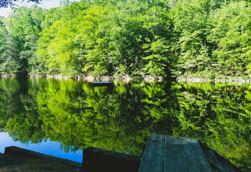 Awesome and Relaxing Spring Morning