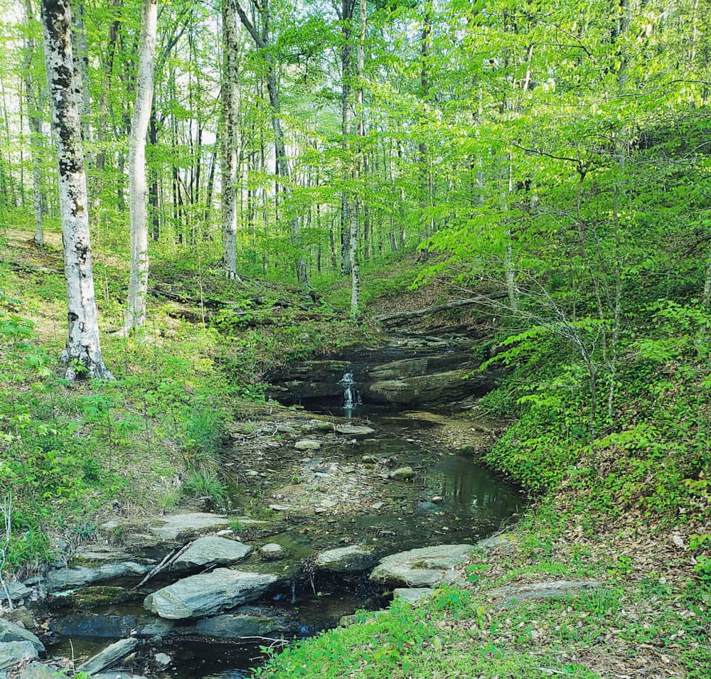 Waterfall in the forest in North Carolina