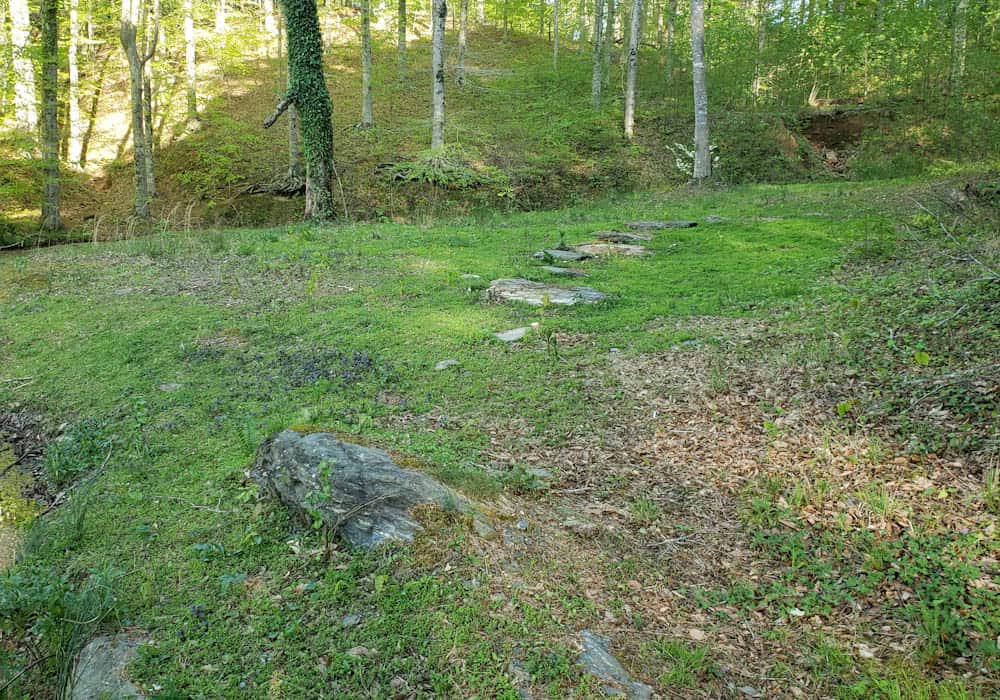 Stone Pathway in forest