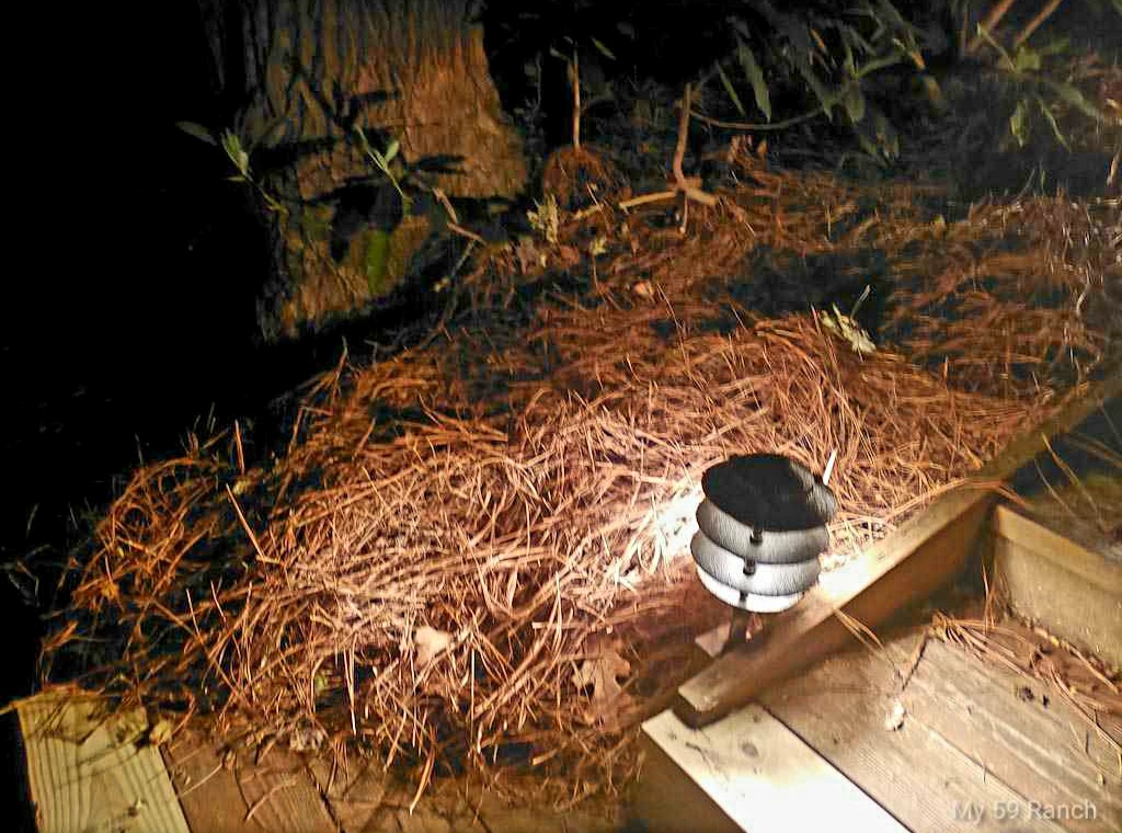 Replace and update Landscaping Pagoda Pathway Lights 10 3 tier pagoda at night