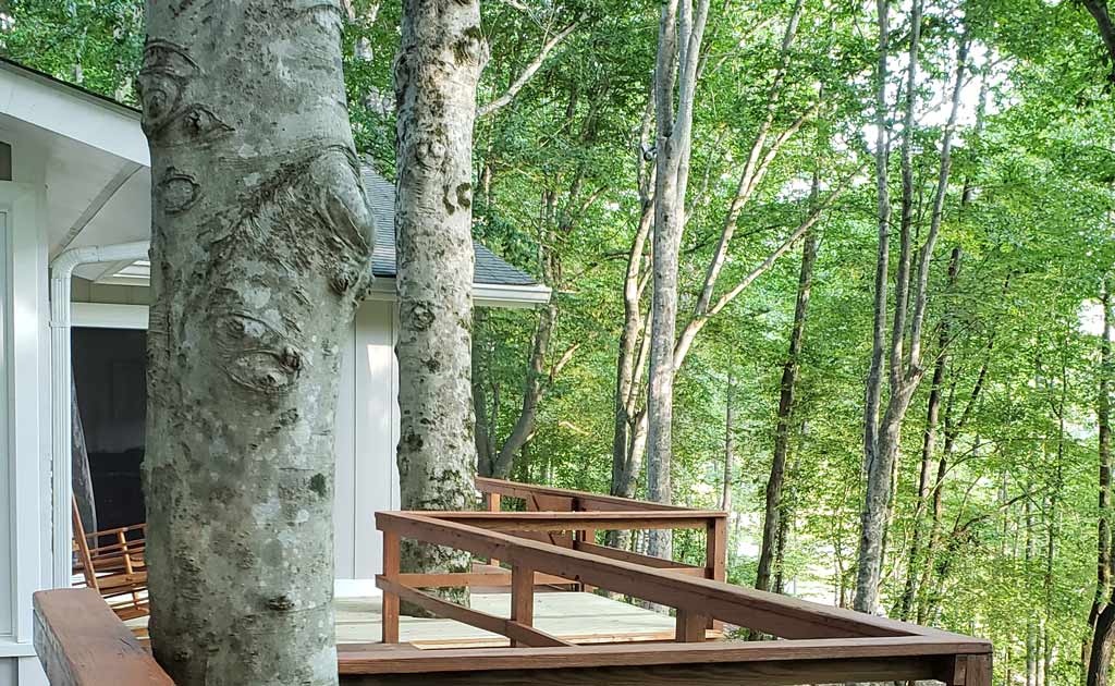 Deck Railing and Tree