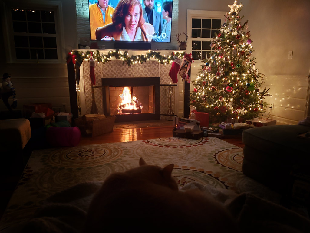 Mid-Century Modern Christmas Living room