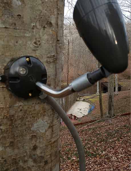 Make a big impact with Landscape Lighting for your House, Bushes or Trees 8 Spot Light mounted on Tree Landscape lighting