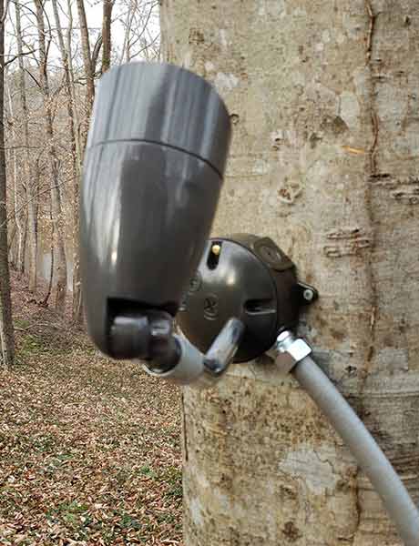 Flood light mounted on a tree landscape lighting