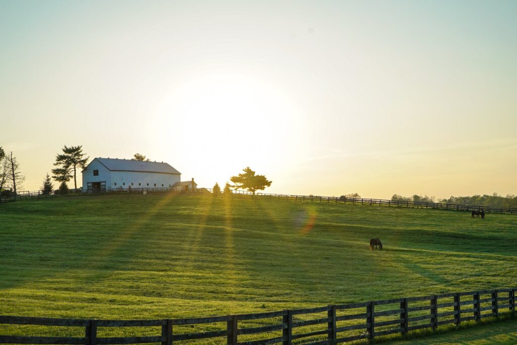 white house beside grass field