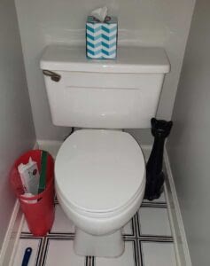 Have a Leaking Toilet? - Quick 42 Min Fix 13 Toilet Wax Ring replacement
