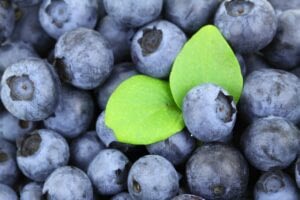 berries, blueberries, fresh berries