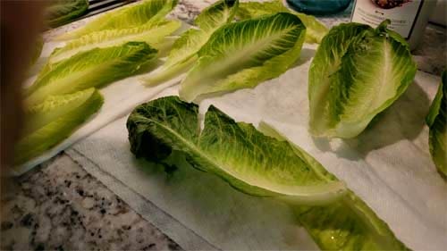 butter lettuce shells for KETO wraps or sandwhich wraps