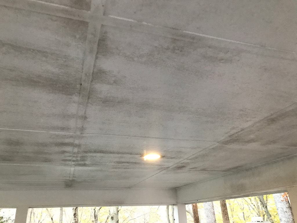 Mildew on exterior carport ceiling in white