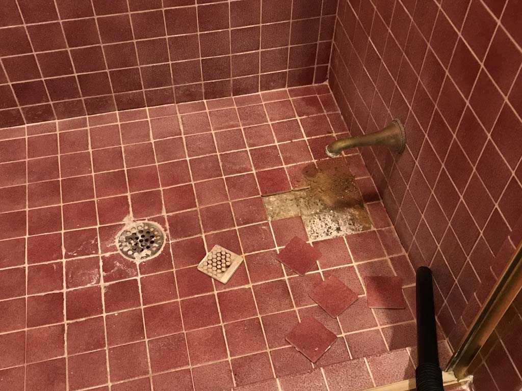 Fixing Shower tile that is loose