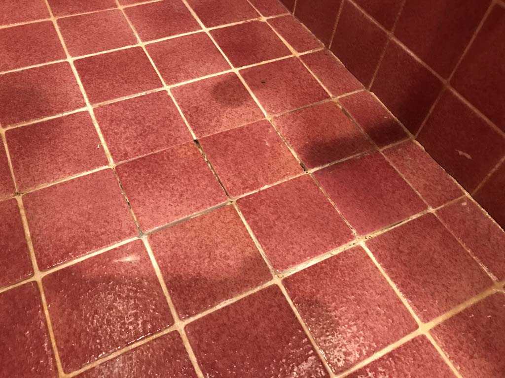 Letting Gorilla Glue set for Fixing Shower tile